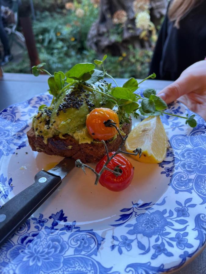 Edouard Garden Cafe Guest Room デュルビュイ エクステリア 写真